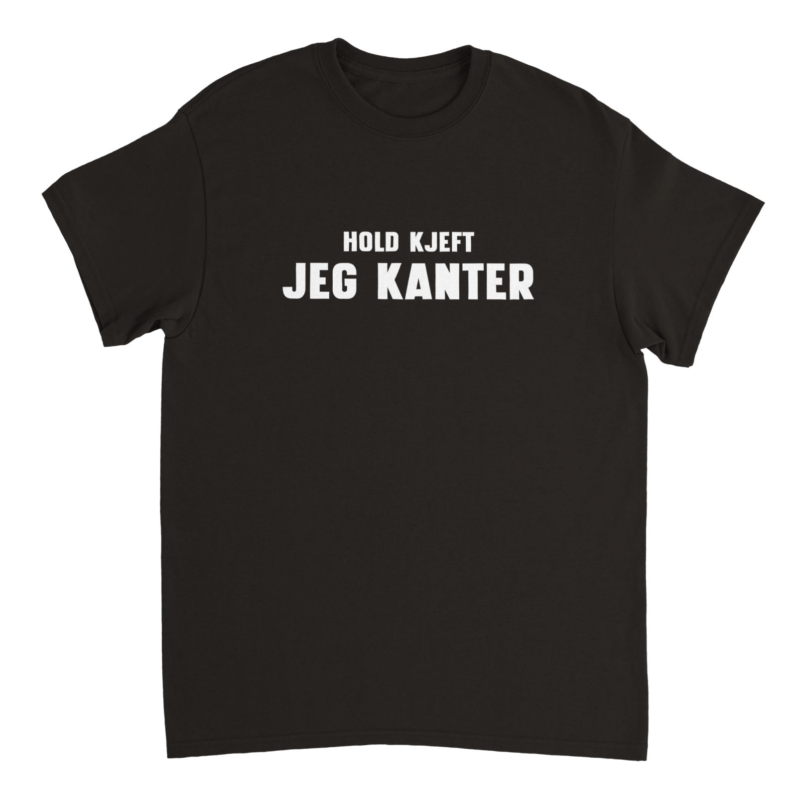 Hold Kjeft Jeg Kanter T - Skjorte - kosterskjorta