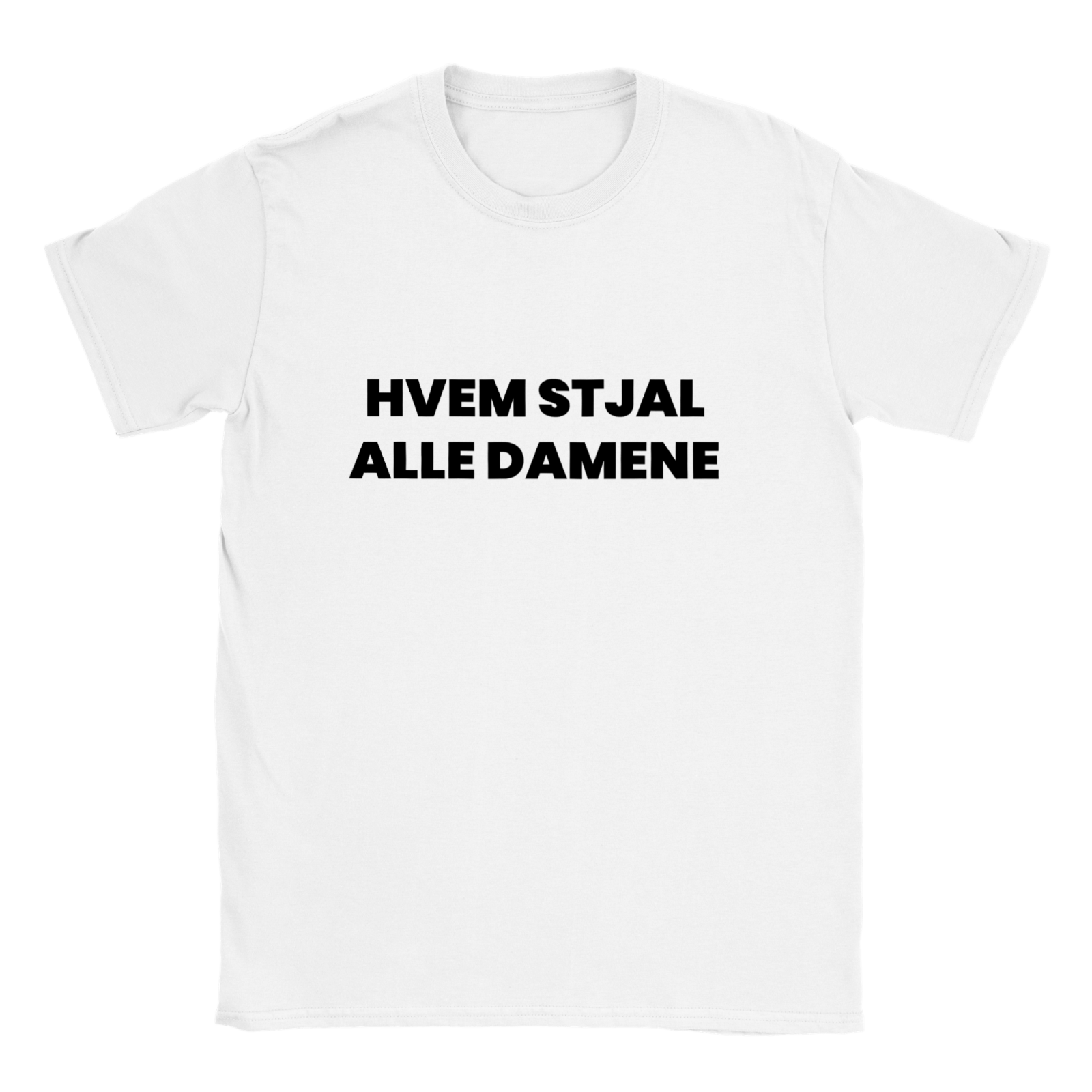 Hvem Stjal Alle Damene T - skjorte - kosterskjorta